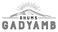 Gadyamb logo